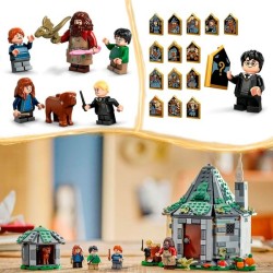 Hagrids Hütte: Ein unerwarteter Besuch