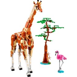 Tiersafari