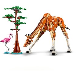 Tiersafari