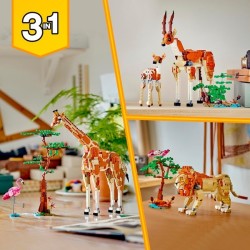 Tiersafari