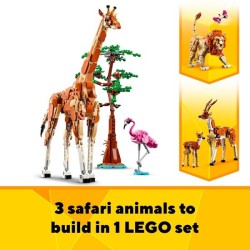 Tiersafari