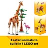 Tiersafari