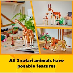Tiersafari