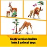 Tiersafari