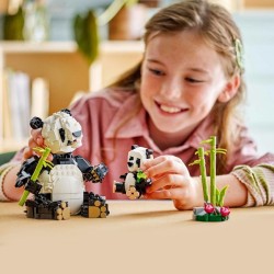 Wilde Tiere: Pandafamilie