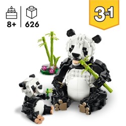 Wilde Tiere: Pandafamilie
