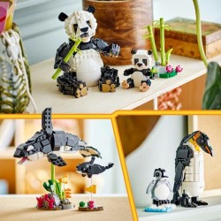 Wilde Tiere: Pandafamilie