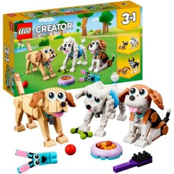 Niedliche Hunde