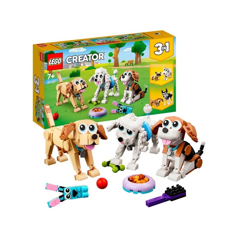 Niedliche Hunde