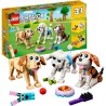 Niedliche Hunde