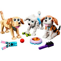 Niedliche Hunde