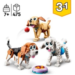 Niedliche Hunde