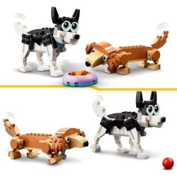 Niedliche Hunde