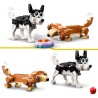 Niedliche Hunde