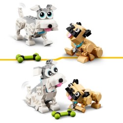 Niedliche Hunde