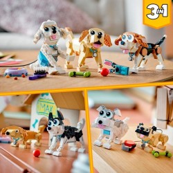 Niedliche Hunde
