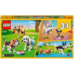 Niedliche Hunde