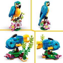 Exotischer Papagei