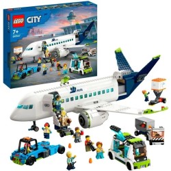 Passagierflugzeug