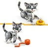 Graue Katze