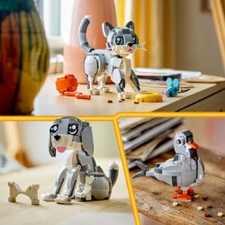 Graue Katze