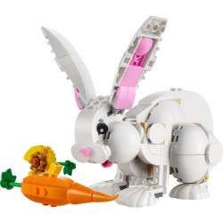 Weißer Hase