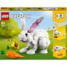 Weißer Hase