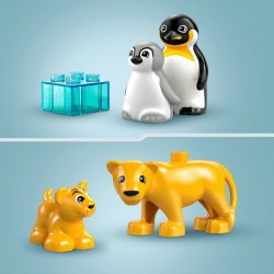 Wildtier-Familien