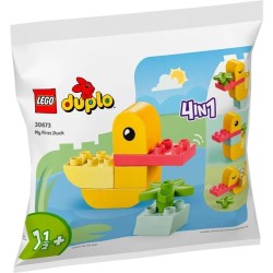 Meine erste Ente