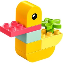 Meine erste Ente