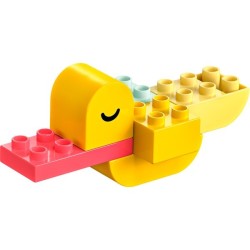 Meine erste Ente