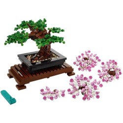Bonsai Baum