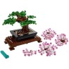 Bonsai Baum