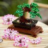Bonsai Baum