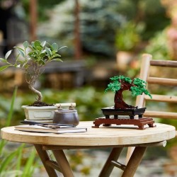 Bonsai Baum