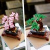 Bonsai Baum