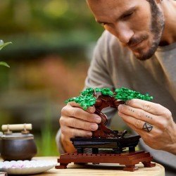 Bonsai Baum