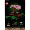 Bonsai Baum