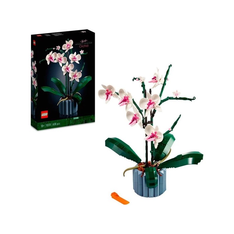 Orchidee