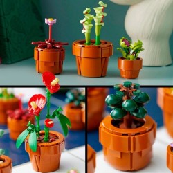 Mini Pflanzen