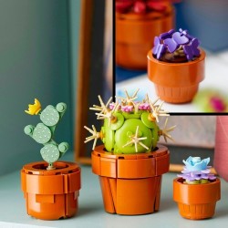 Mini Pflanzen