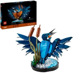 Eisvogel