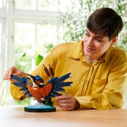 Eisvogel