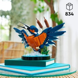 Eisvogel