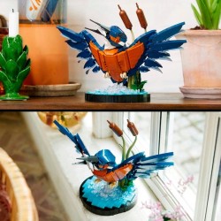 Eisvogel