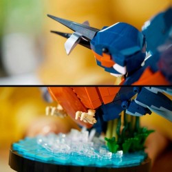 Eisvogel