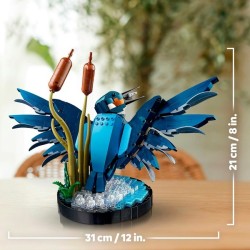 Eisvogel