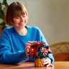 Weihnachtsstern