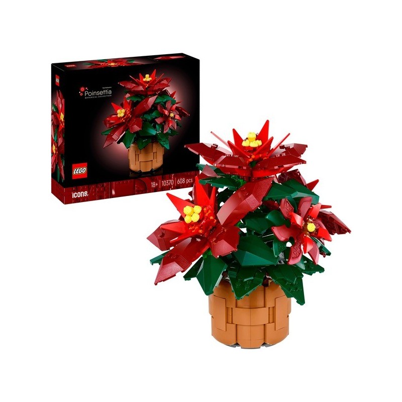 Weihnachtsstern
