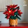Weihnachtsstern